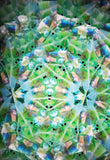 State Park Everglades Kaleidoscope