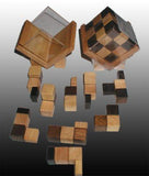 Splitting Headache Wooden Puzzle Cube