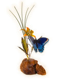 Blue Butterfly on Manzanita