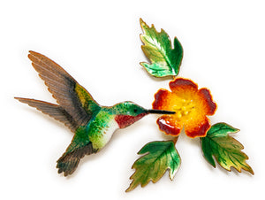 Hummingbird with Trumpet Flower
