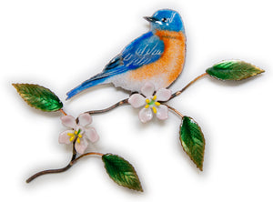 Eastern Bluebird on Apple Blossom