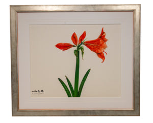 "Amaryllis" Original Watercolor by Mike Smith